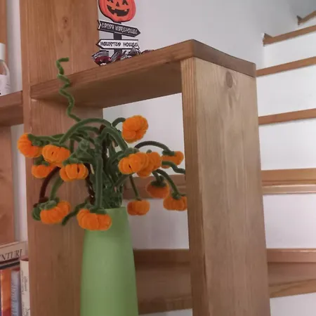 Casina Iris - Apartment